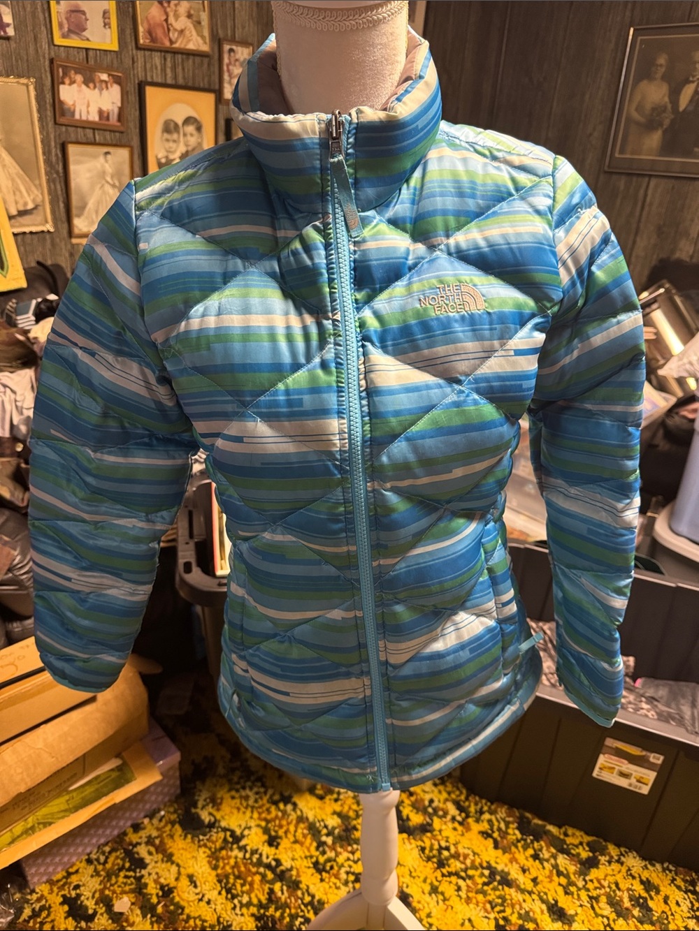 The North Face Girls Blue, Aqua & White Striped Puffer Jacket